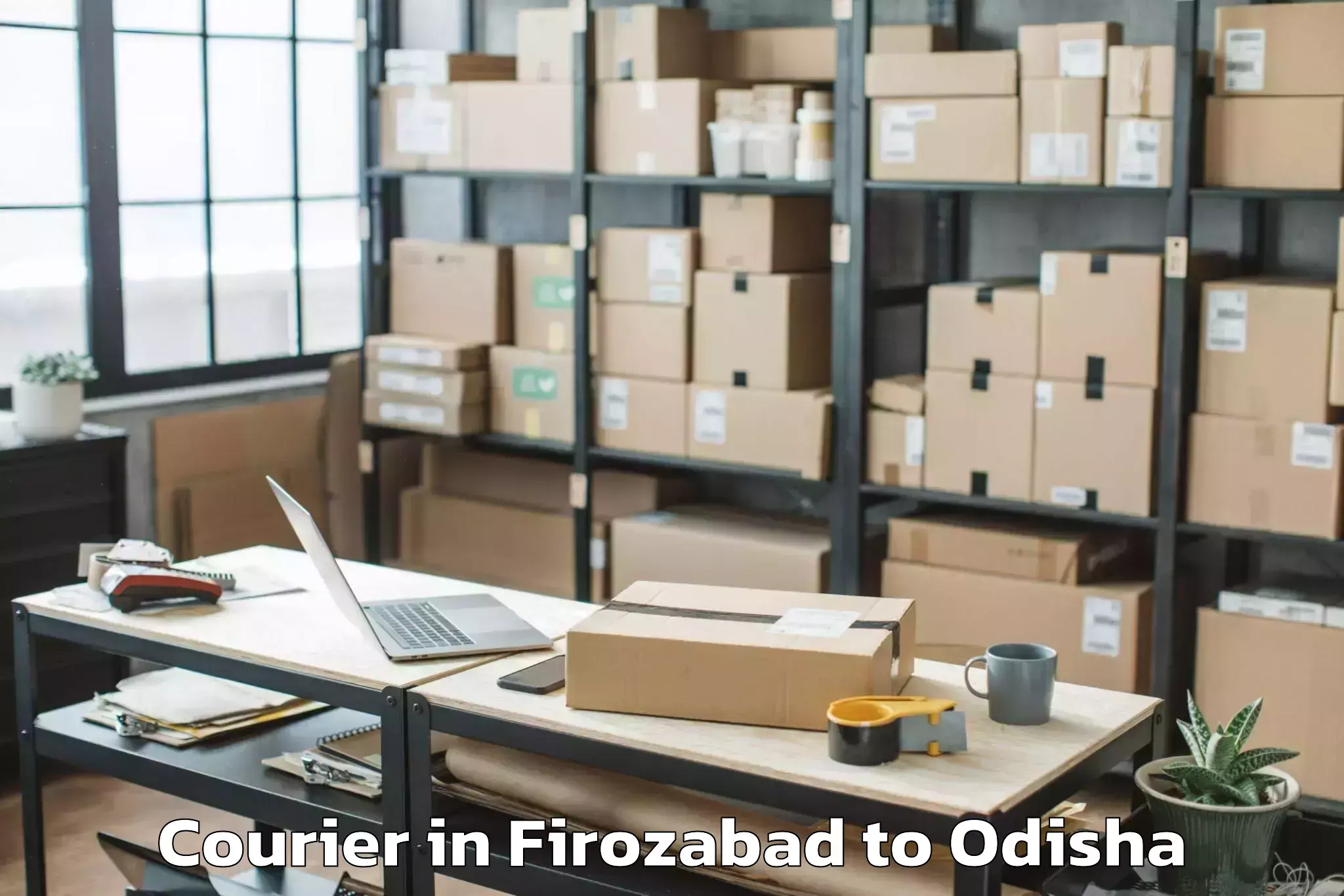 Leading Firozabad to Loisingha Courier Provider